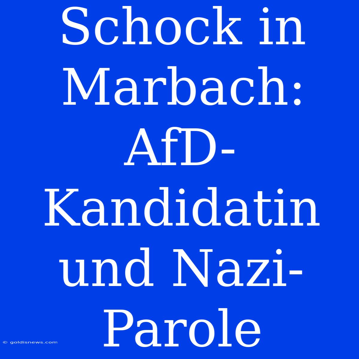 Schock In Marbach: AfD-Kandidatin Und Nazi-Parole