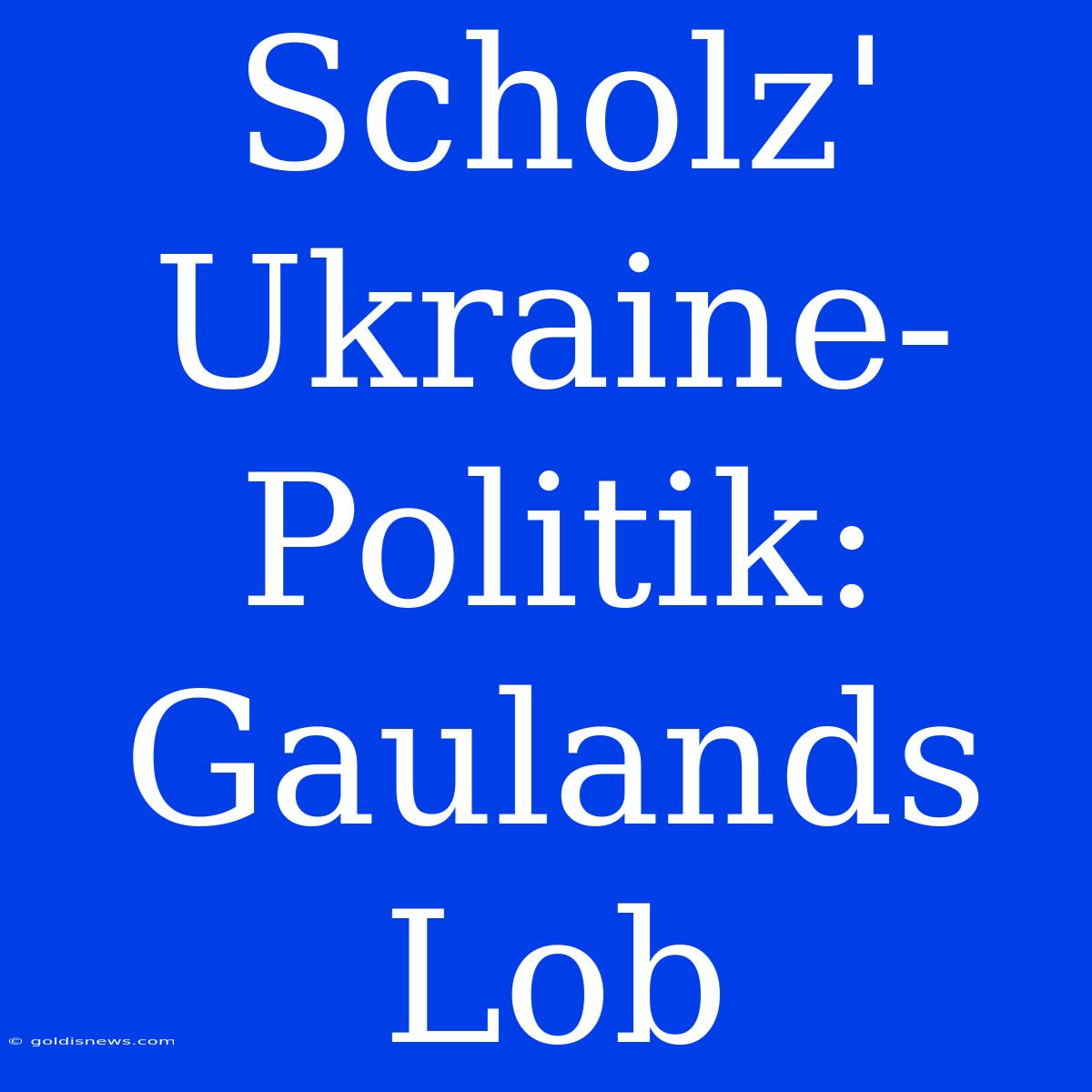 Scholz' Ukraine-Politik: Gaulands Lob