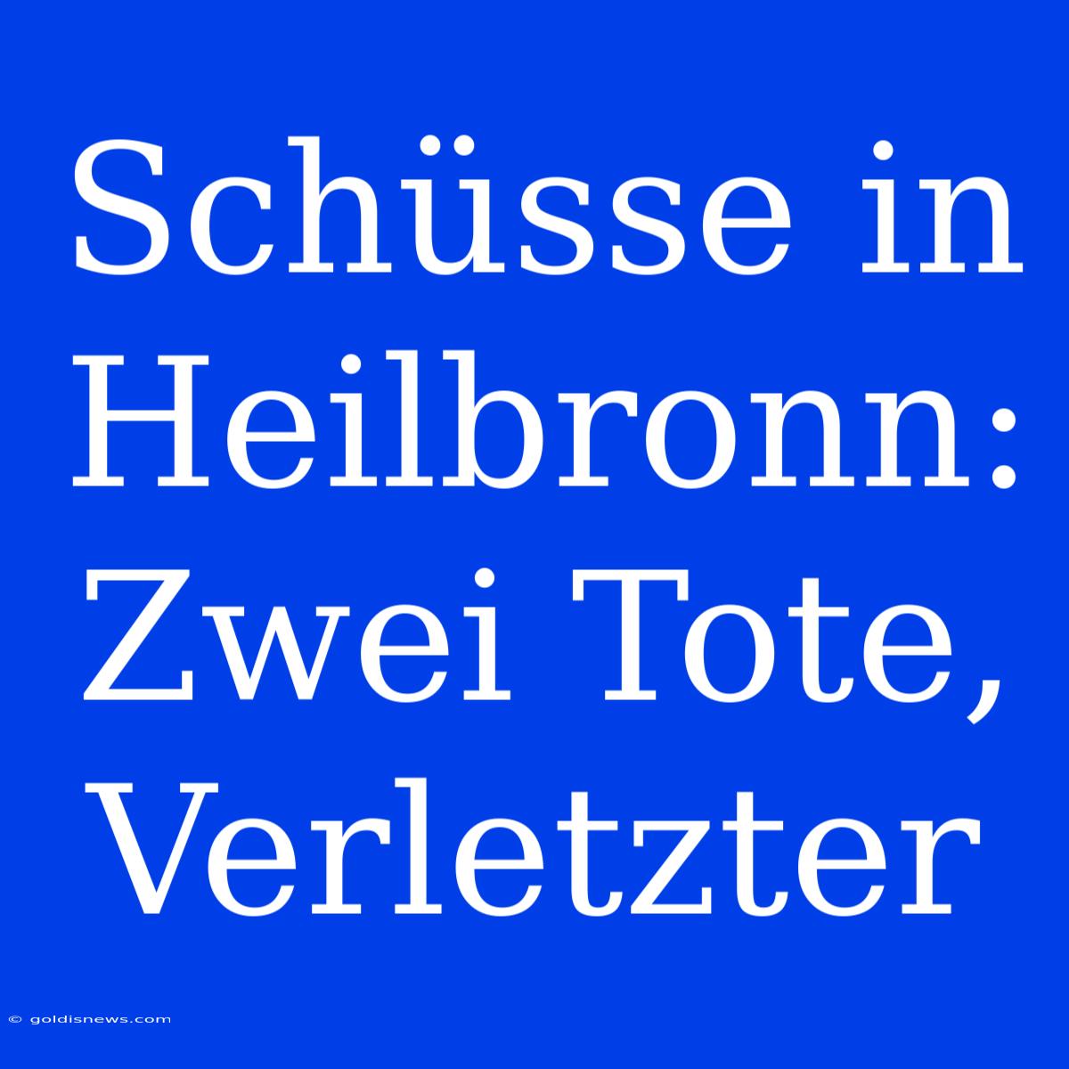 Schüsse In Heilbronn: Zwei Tote, Verletzter