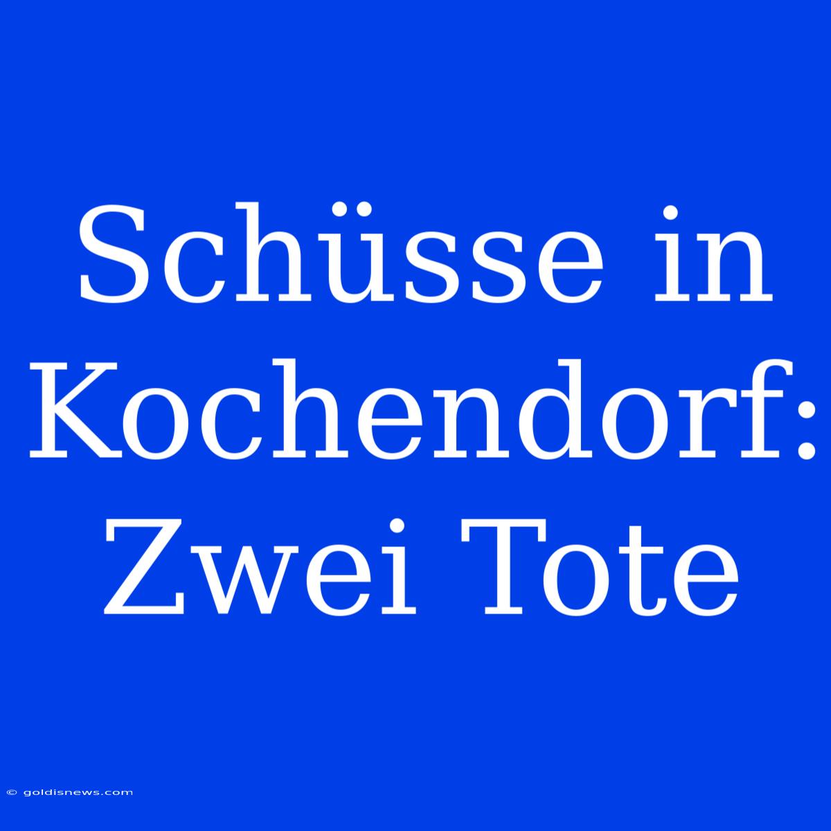 Schüsse In Kochendorf: Zwei Tote