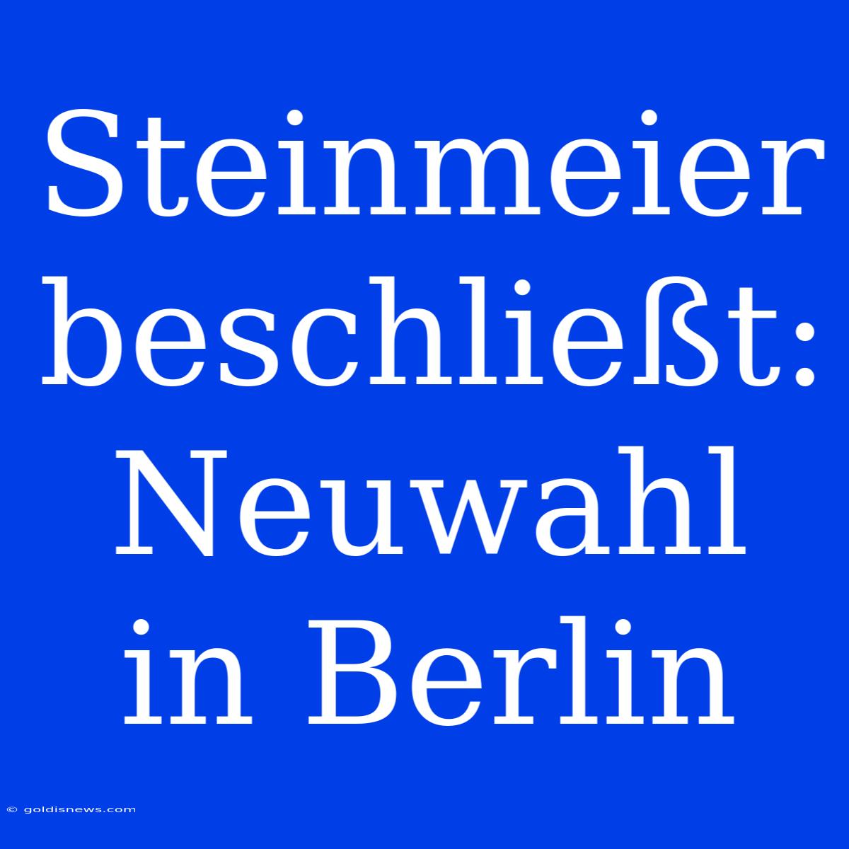 Steinmeier Beschließt: Neuwahl In Berlin