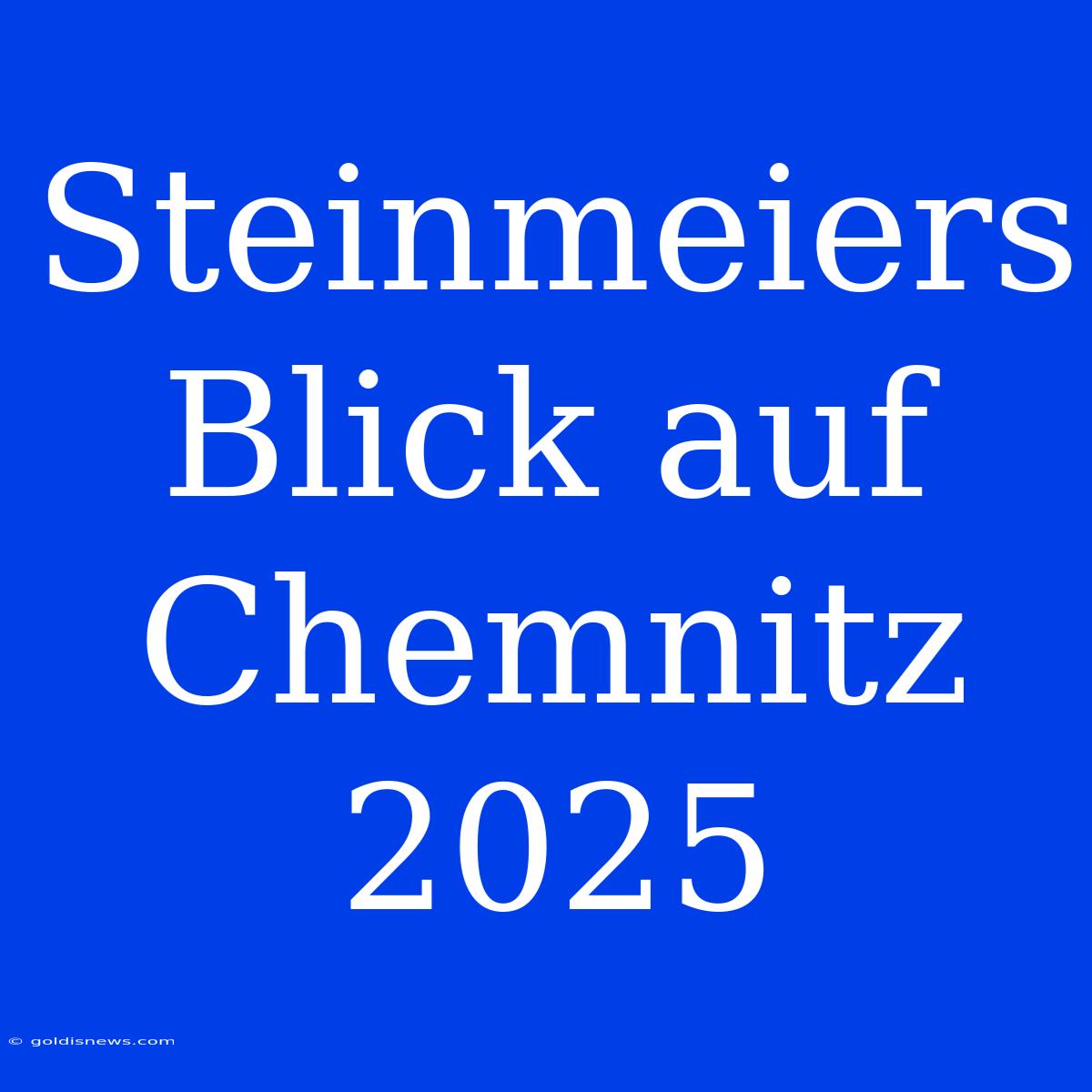 Steinmeiers Blick Auf Chemnitz 2025