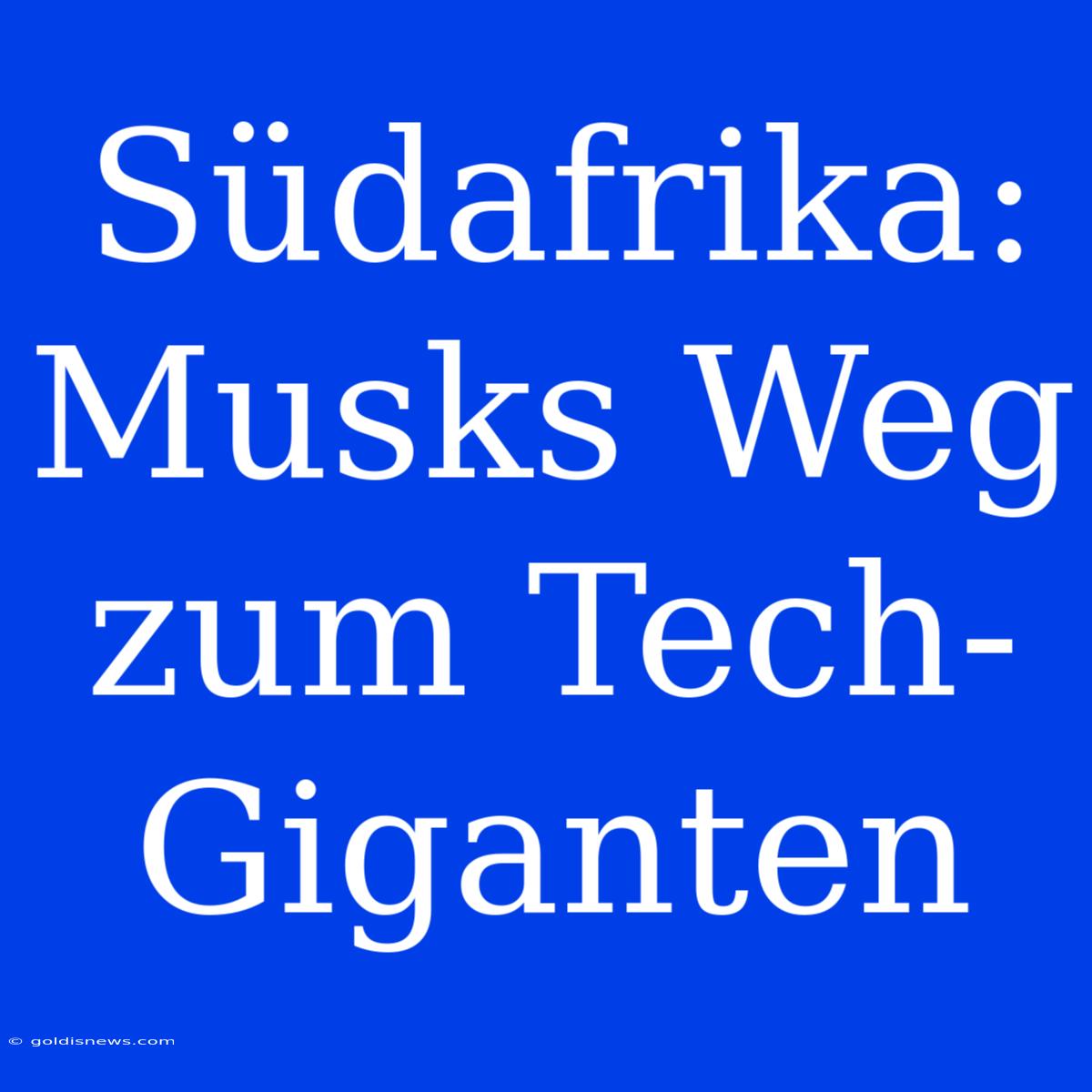 Südafrika: Musks Weg Zum Tech-Giganten