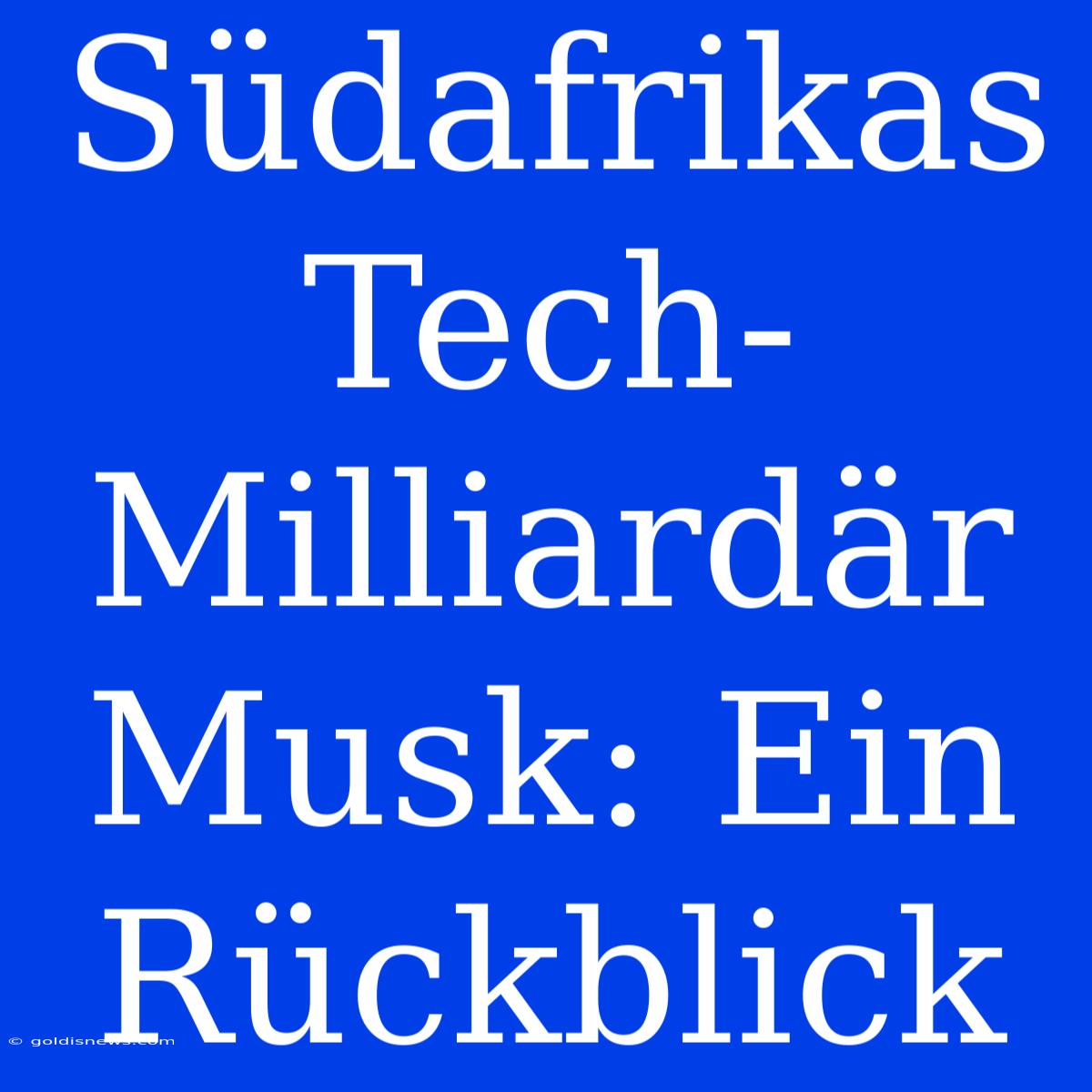 Südafrikas Tech-Milliardär Musk: Ein Rückblick