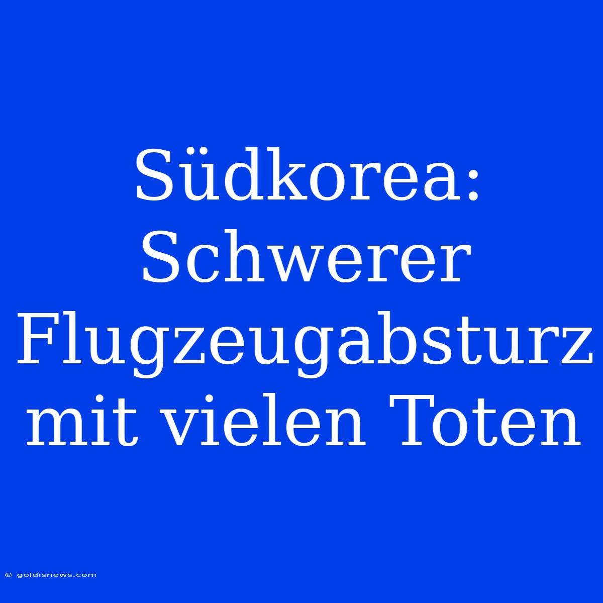 Südkorea: Schwerer Flugzeugabsturz Mit Vielen Toten