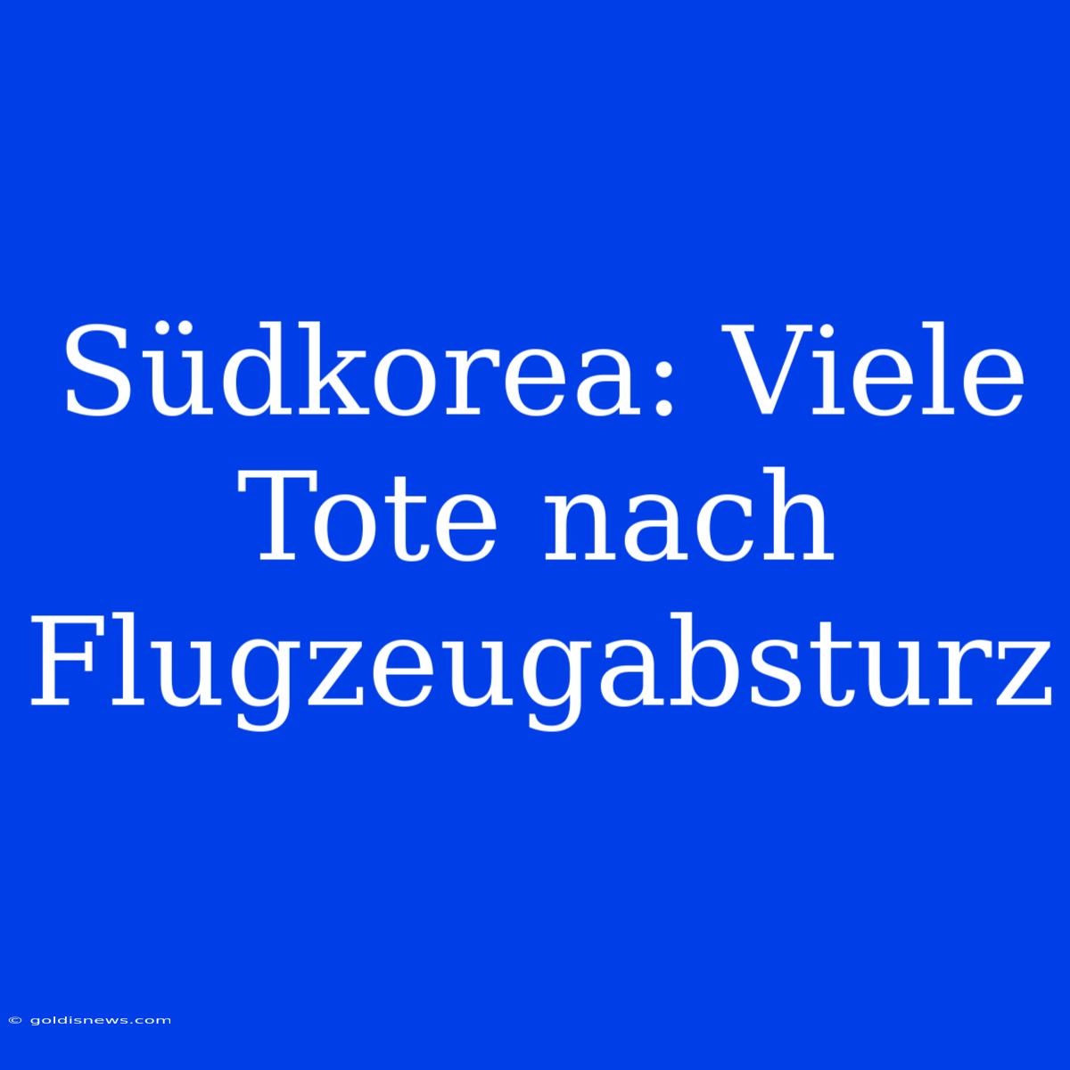 Südkorea: Viele Tote Nach Flugzeugabsturz