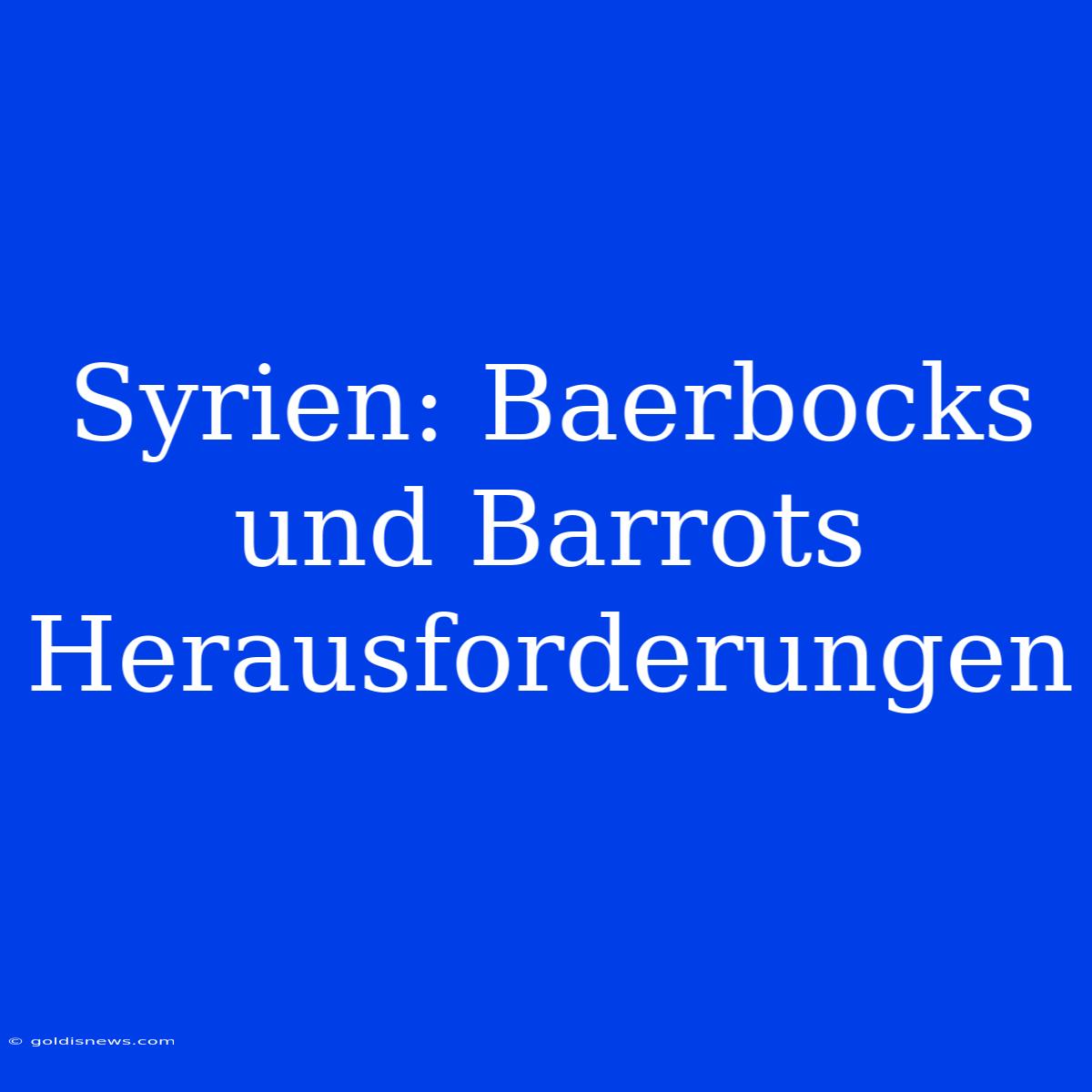 Syrien: Baerbocks Und Barrots Herausforderungen