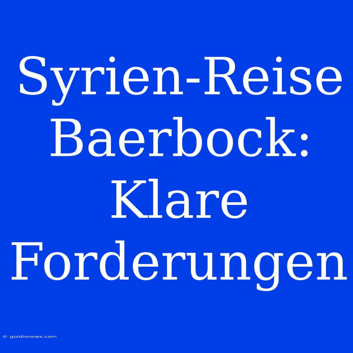 Syrien-Reise Baerbock: Klare Forderungen