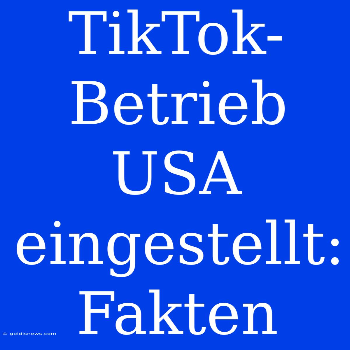 TikTok-Betrieb USA Eingestellt: Fakten