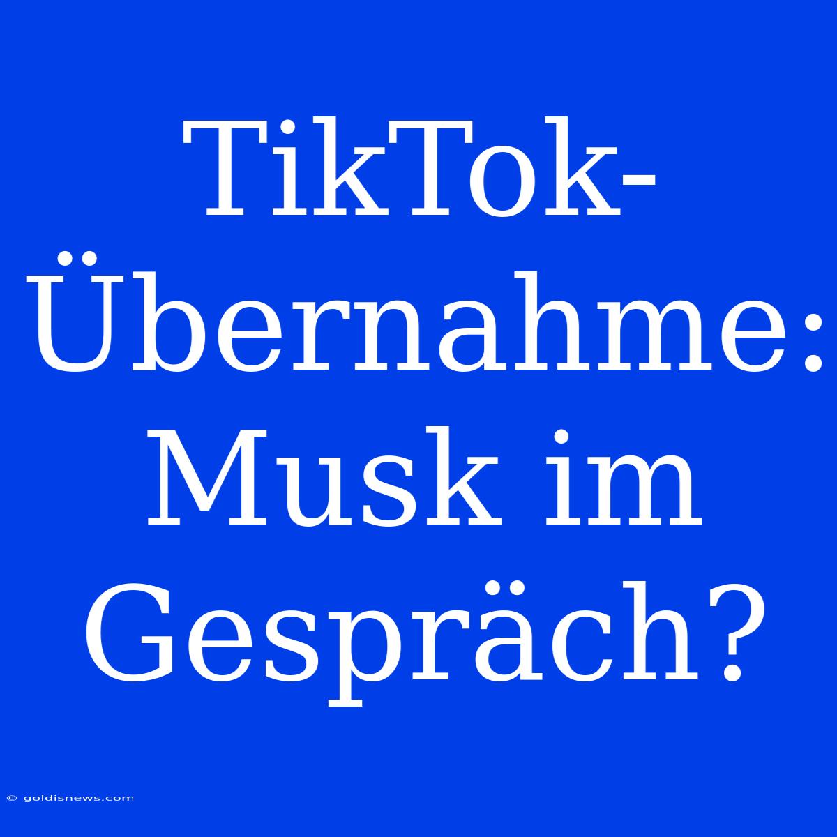 TikTok-Übernahme: Musk Im Gespräch?