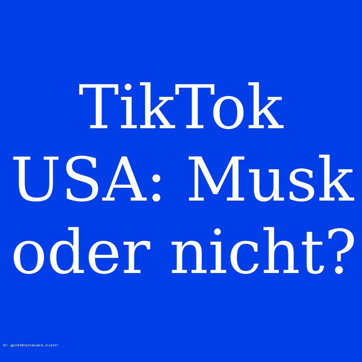 TikTok USA: Musk Oder Nicht?