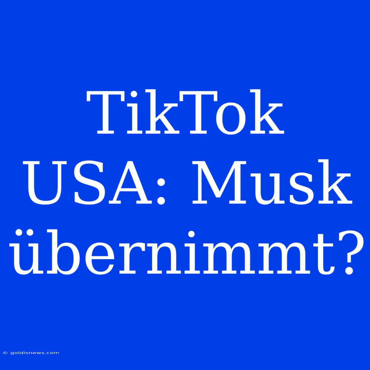 TikTok USA: Musk Übernimmt?