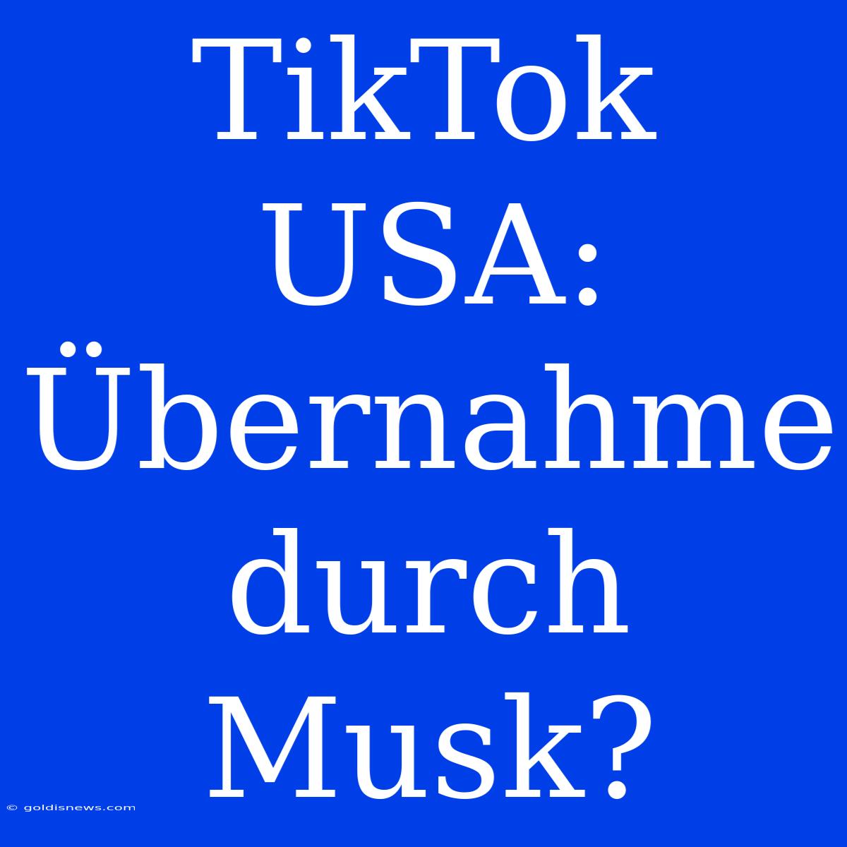 TikTok USA: Übernahme Durch Musk?