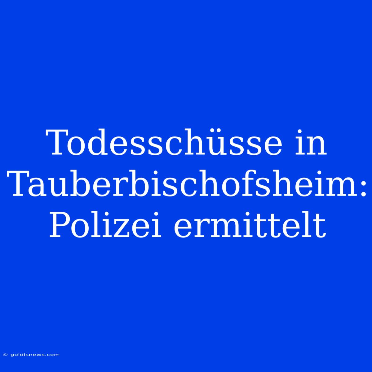 Todesschüsse In Tauberbischofsheim: Polizei Ermittelt