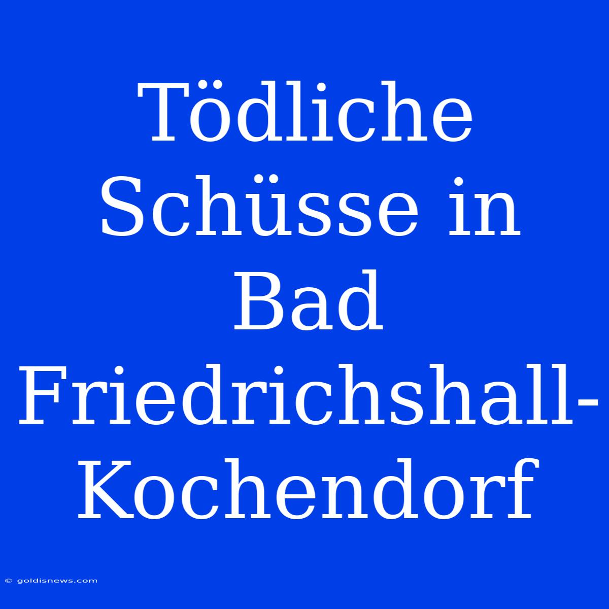 Tödliche Schüsse In Bad Friedrichshall-Kochendorf