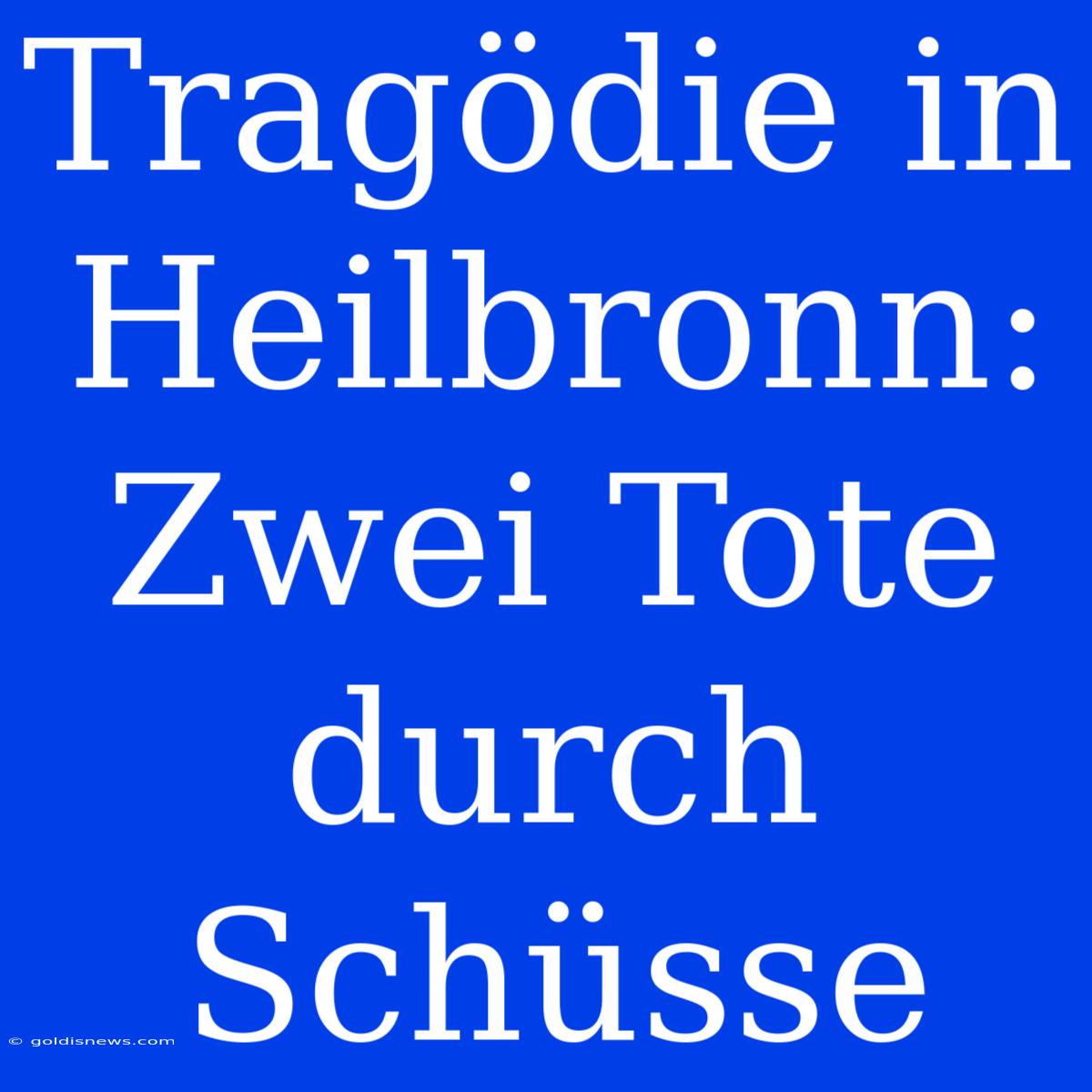 Tragödie In Heilbronn: Zwei Tote Durch Schüsse