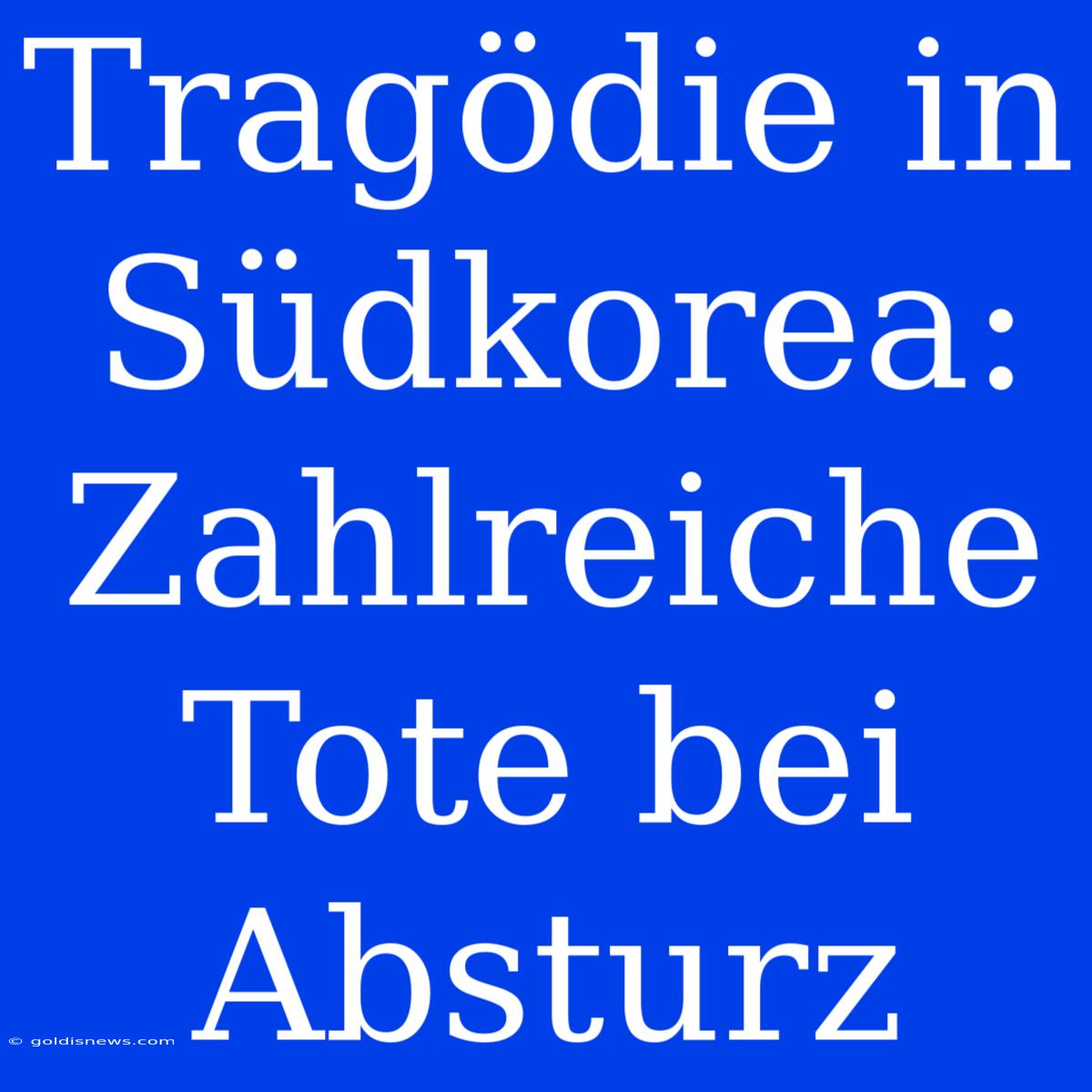 Tragödie In Südkorea: Zahlreiche Tote Bei Absturz