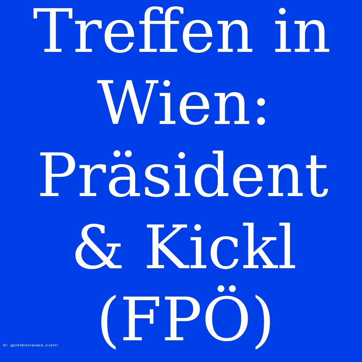 Treffen In Wien: Präsident & Kickl (FPÖ)