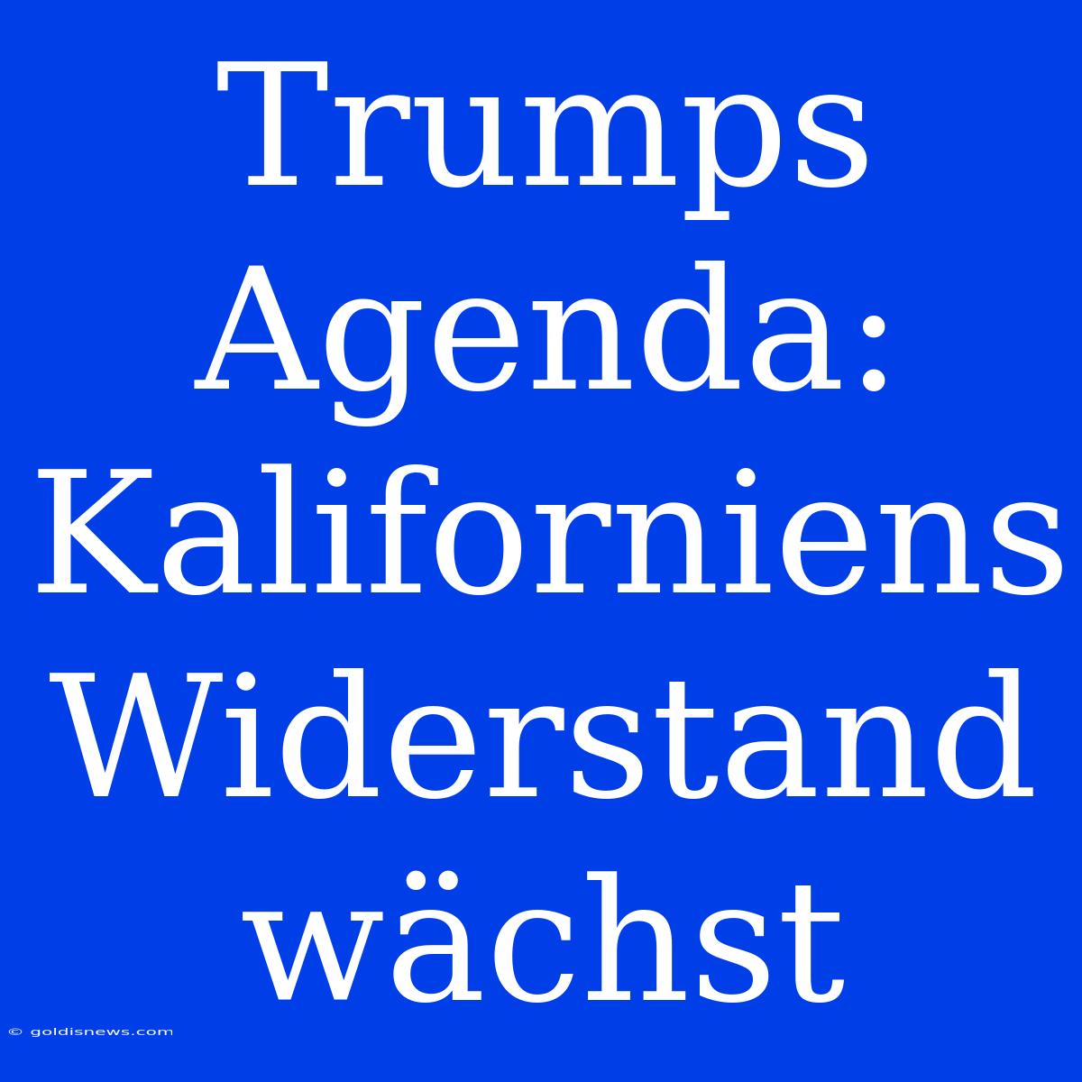 Trumps Agenda: Kaliforniens Widerstand Wächst