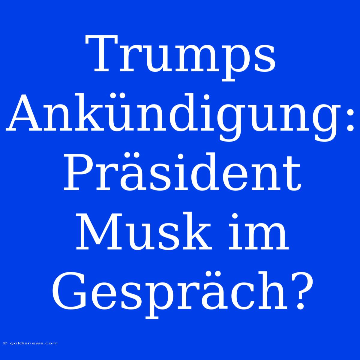 Trumps Ankündigung: Präsident Musk Im Gespräch?