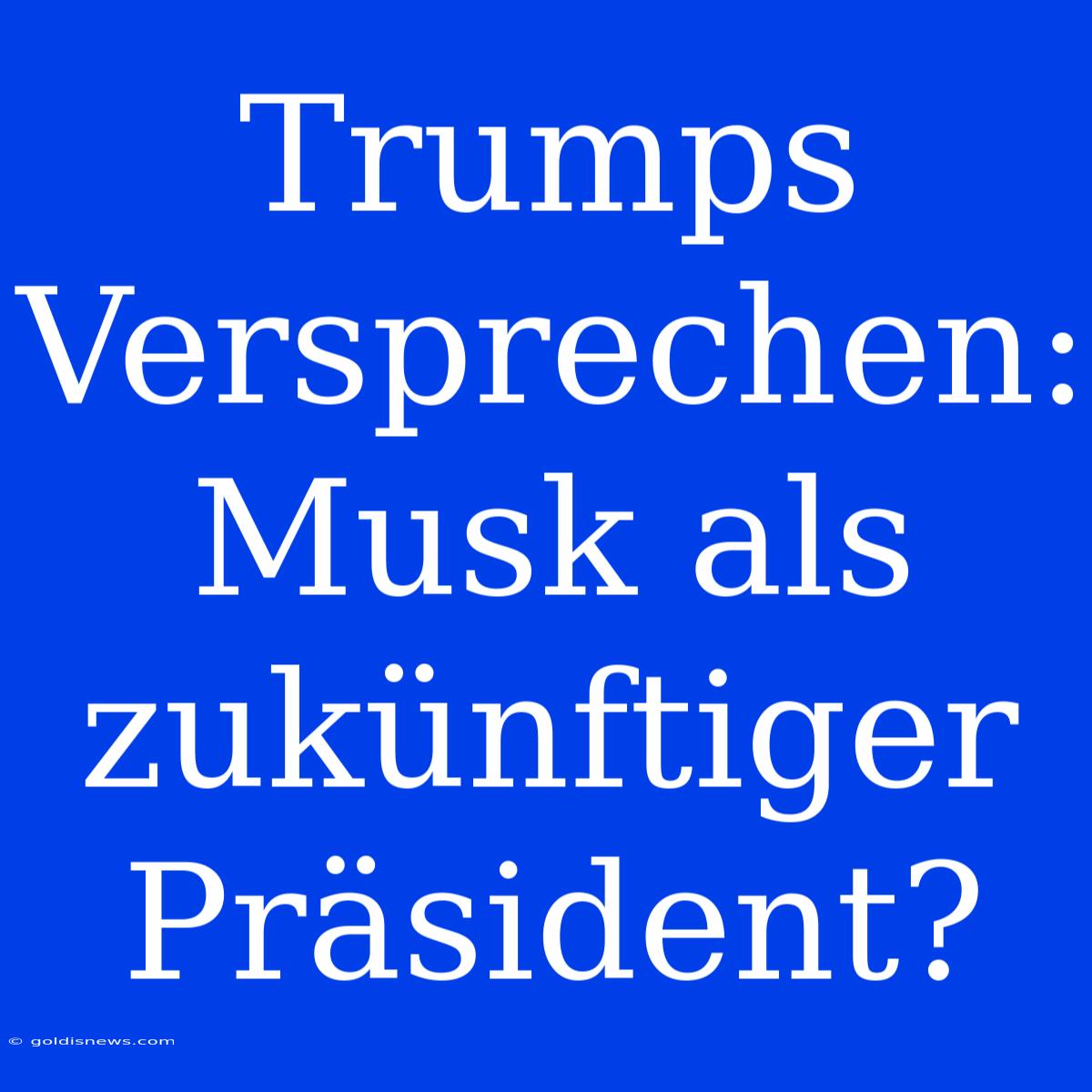 Trumps Versprechen: Musk Als Zukünftiger Präsident?