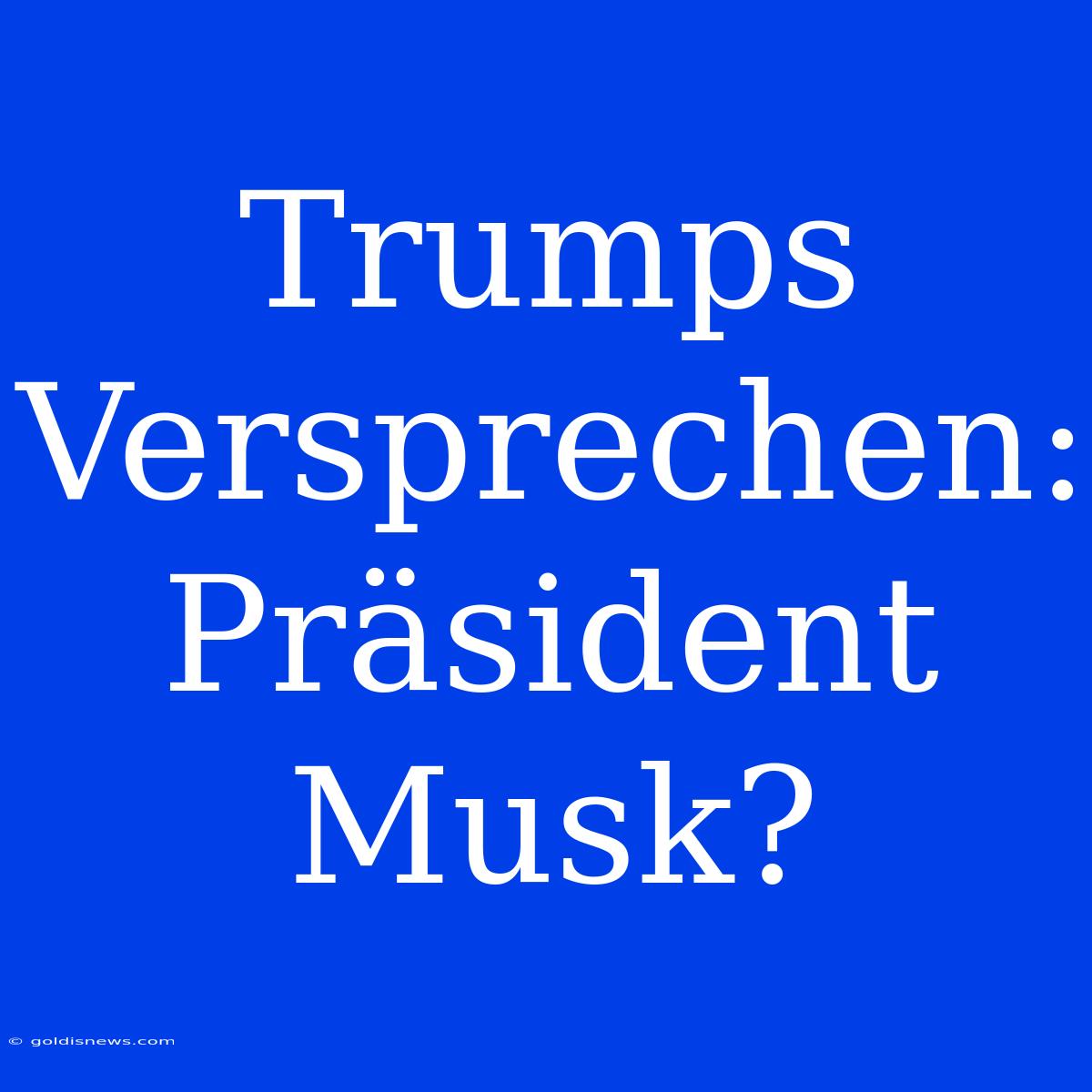 Trumps Versprechen: Präsident Musk?