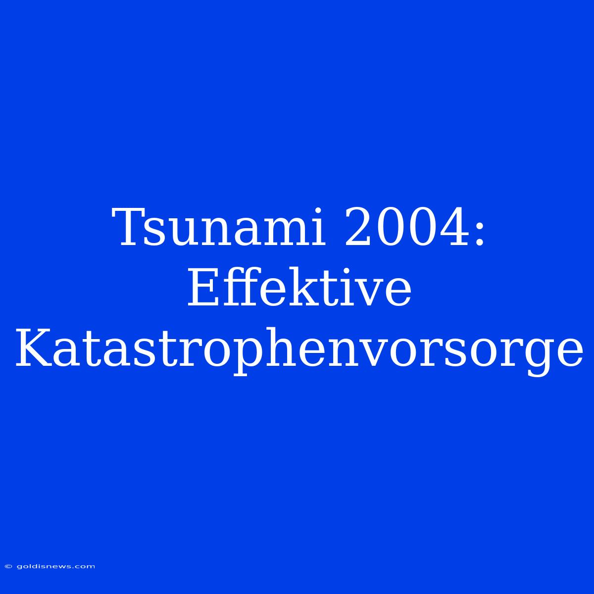 Tsunami 2004:  Effektive Katastrophenvorsorge