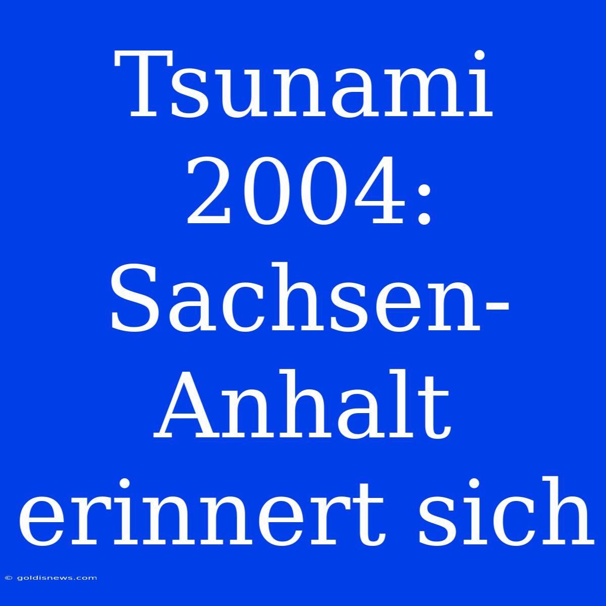 Tsunami 2004: Sachsen-Anhalt Erinnert Sich