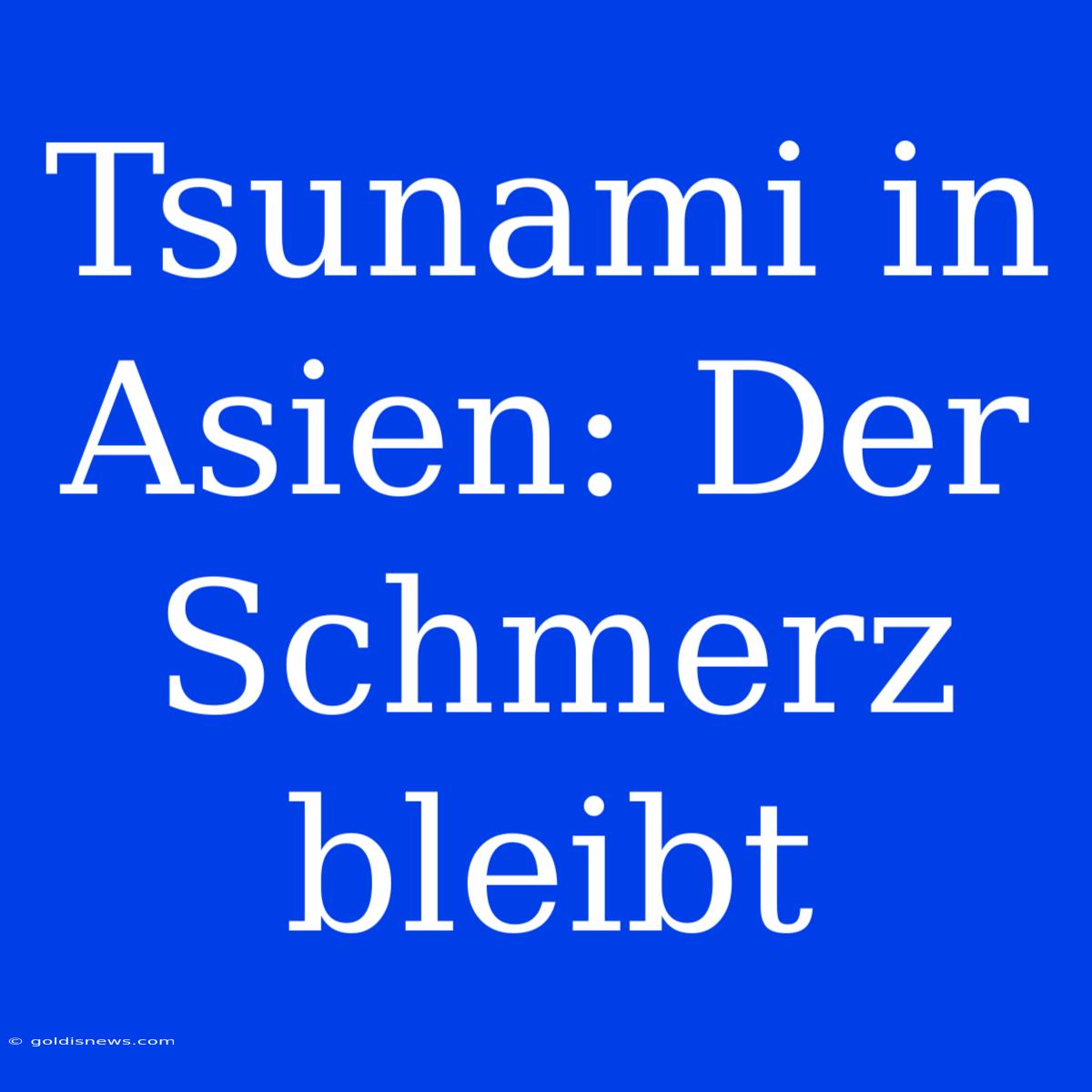 Tsunami In Asien: Der Schmerz Bleibt