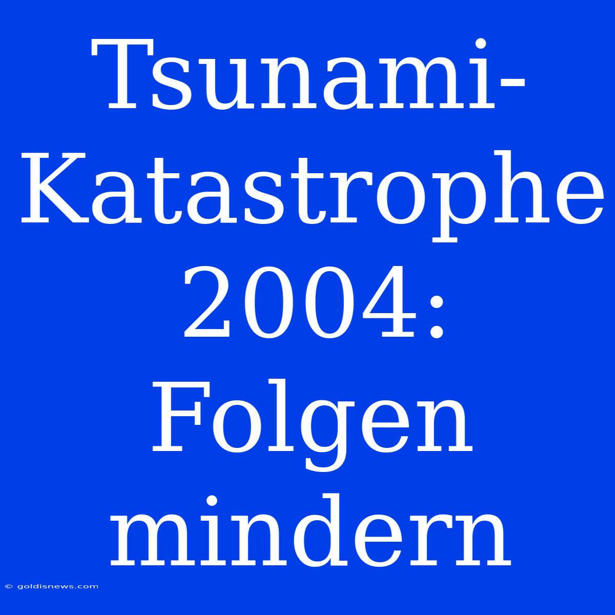 Tsunami-Katastrophe 2004: Folgen Mindern