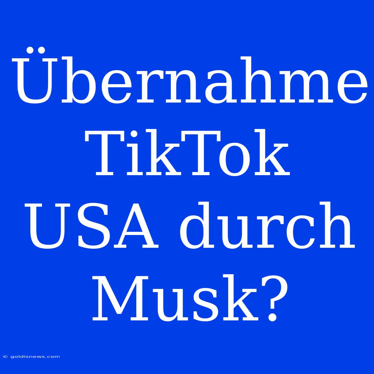 Übernahme TikTok USA Durch Musk?