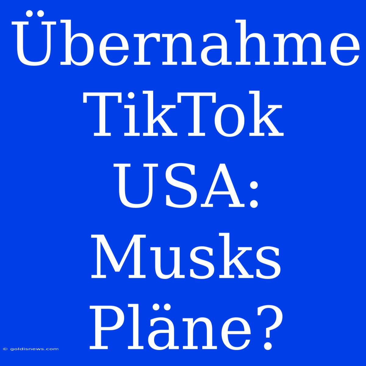 Übernahme TikTok USA: Musks Pläne?