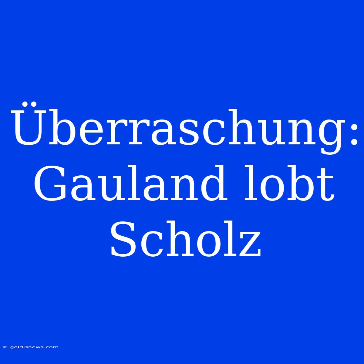 Überraschung: Gauland Lobt Scholz