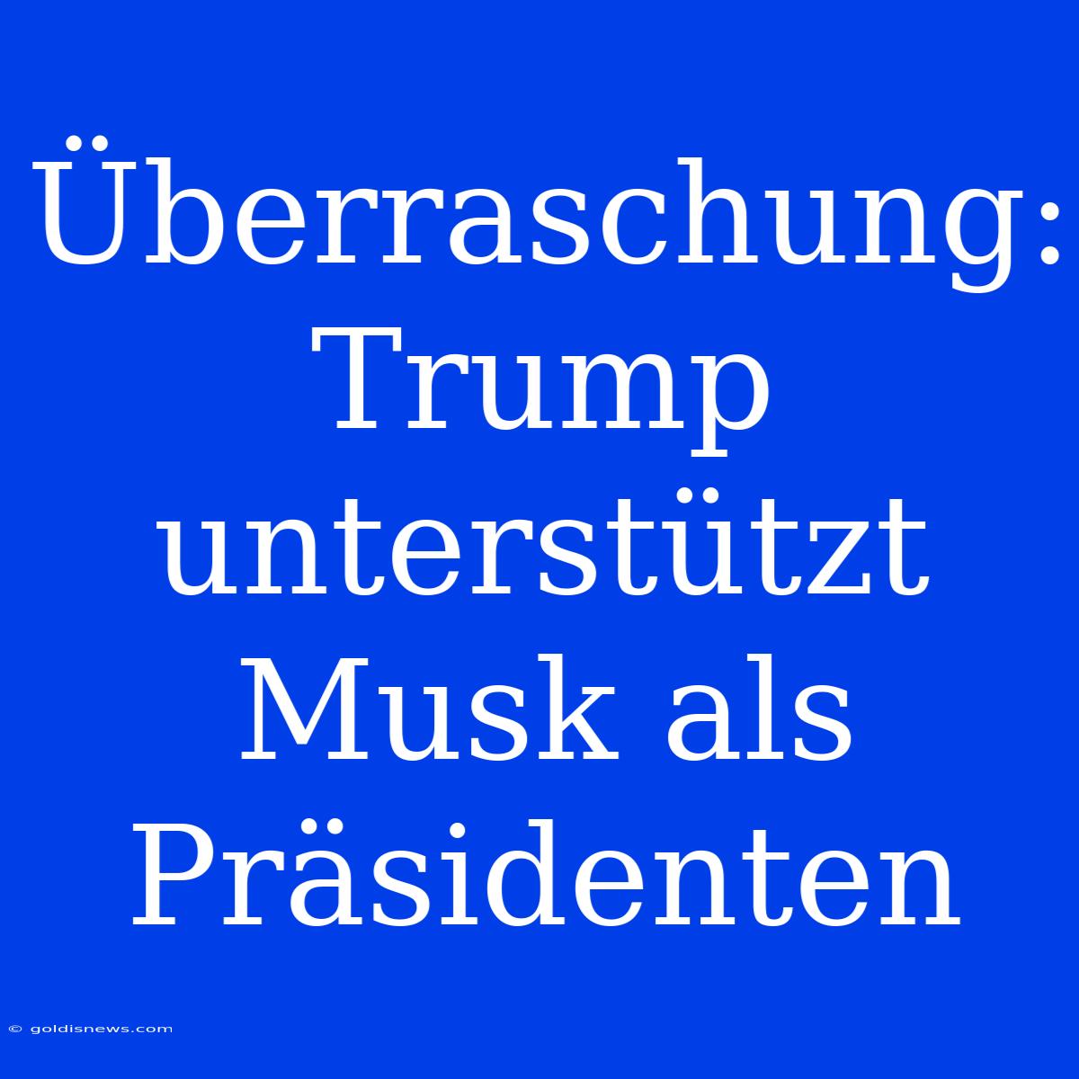 Überraschung: Trump Unterstützt Musk Als Präsidenten