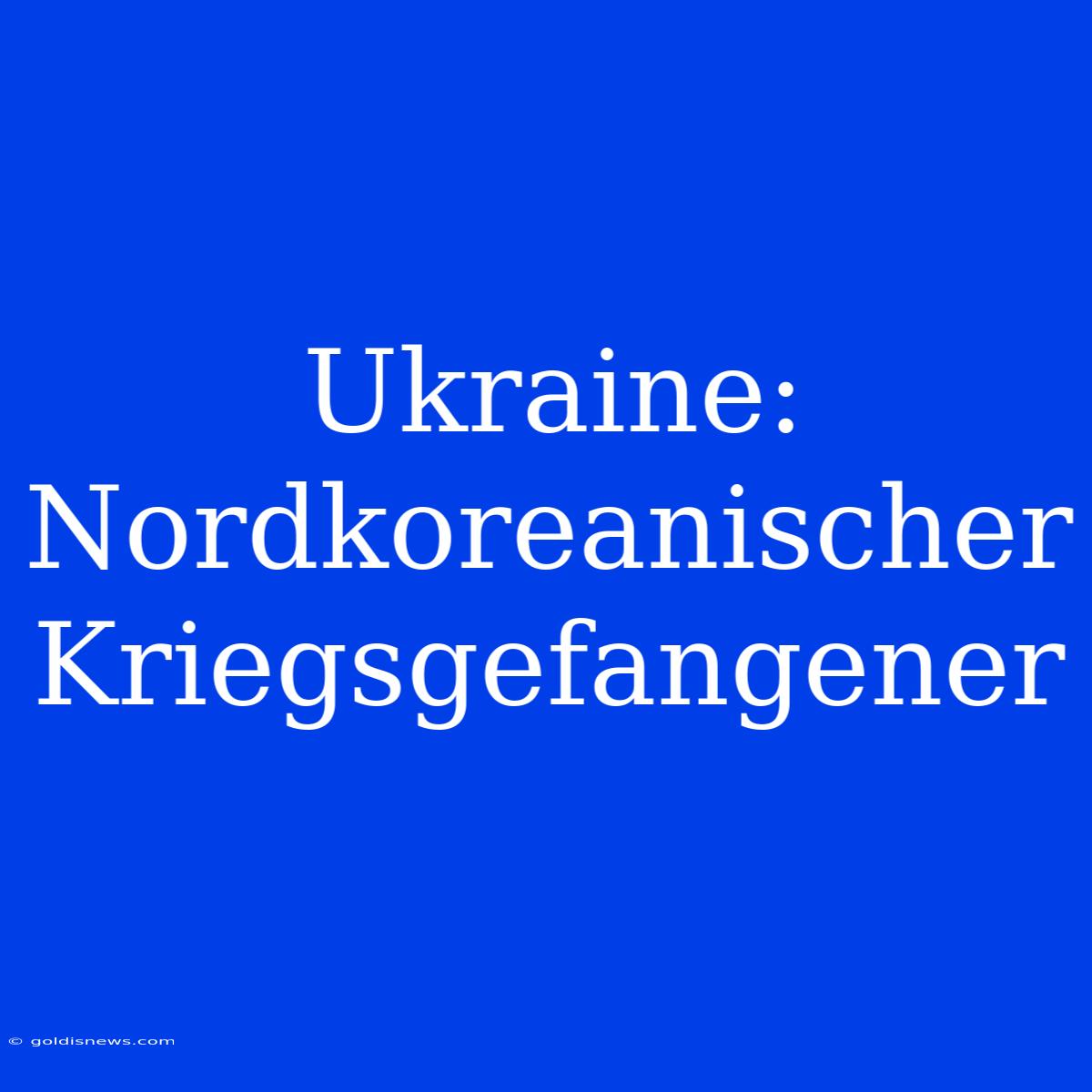 Ukraine: Nordkoreanischer Kriegsgefangener