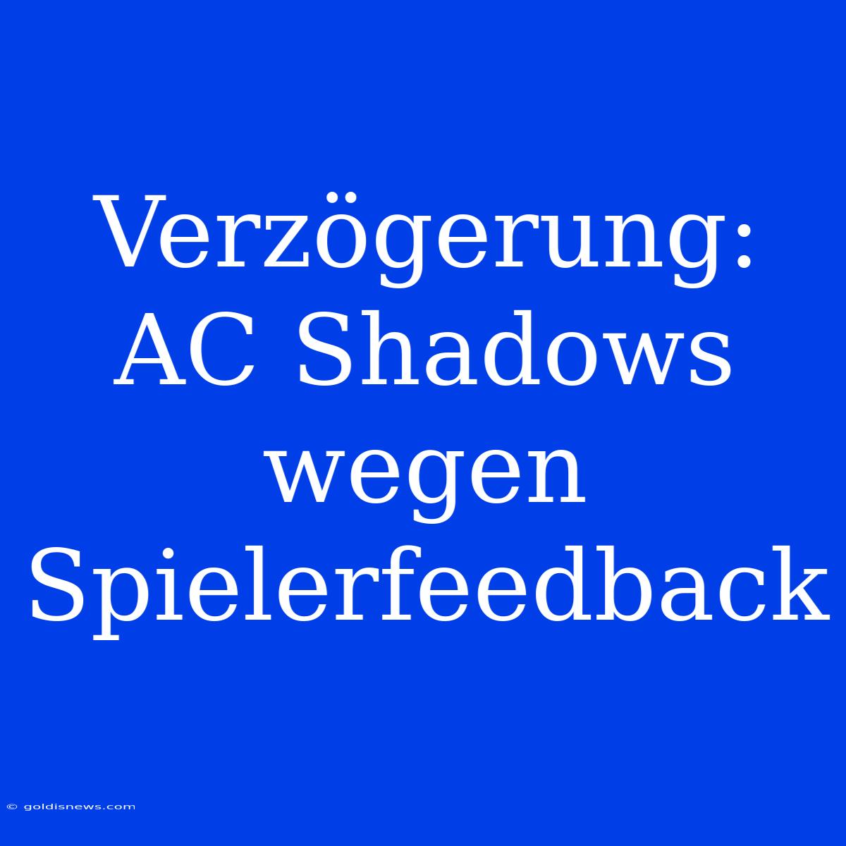 Verzögerung: AC Shadows Wegen Spielerfeedback