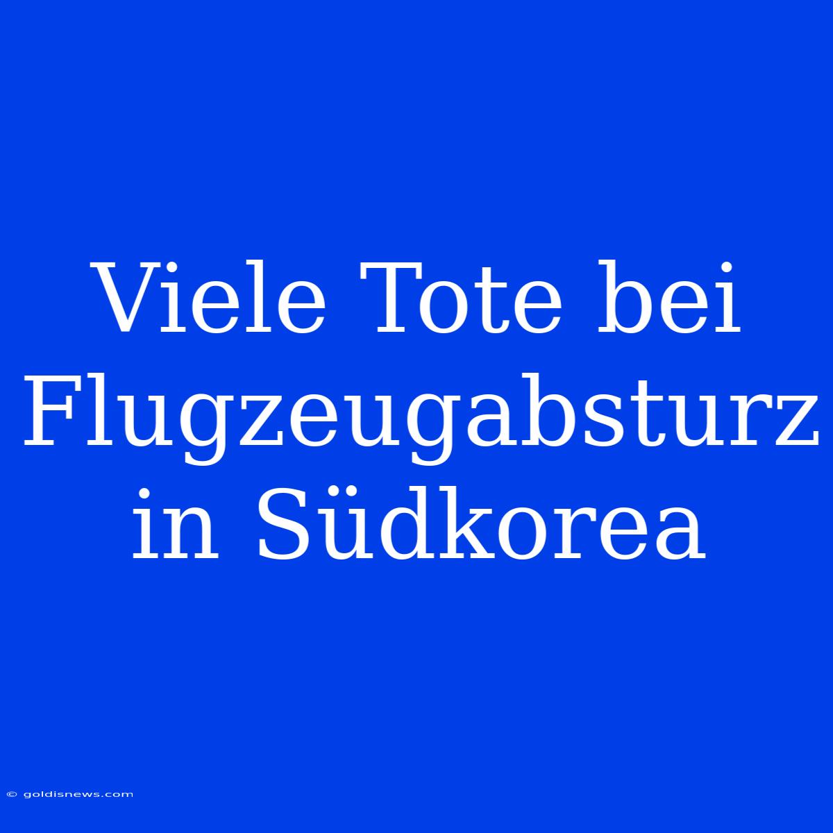 Viele Tote Bei Flugzeugabsturz In Südkorea