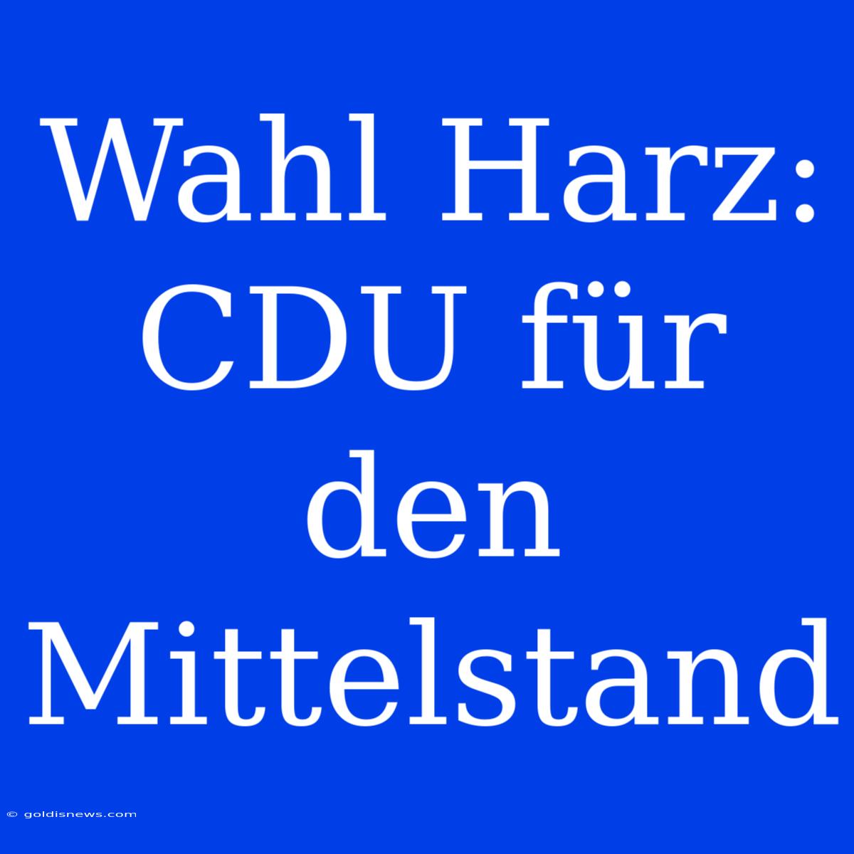 Wahl Harz: CDU Für Den Mittelstand