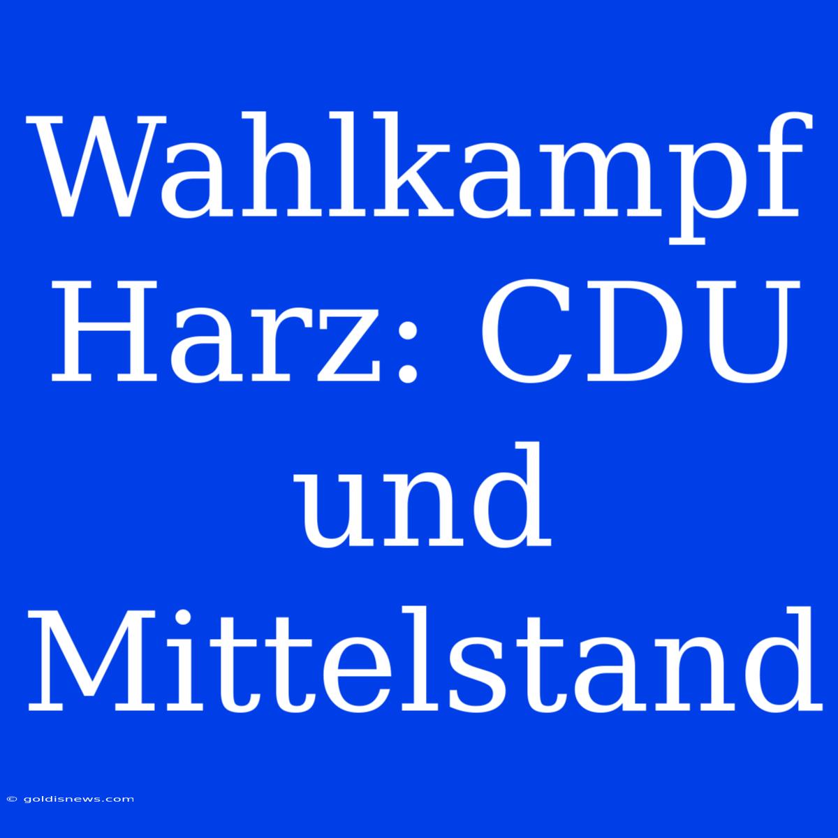 Wahlkampf Harz: CDU Und Mittelstand