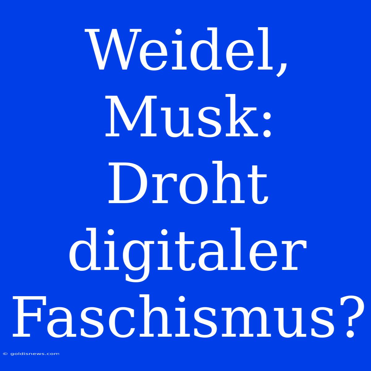 Weidel, Musk:  Droht Digitaler Faschismus?