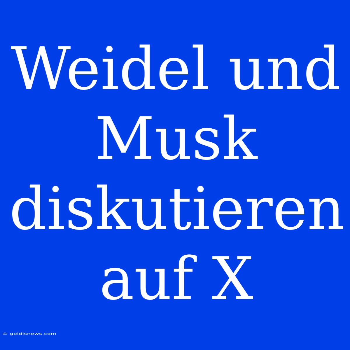 Weidel Und Musk Diskutieren Auf X