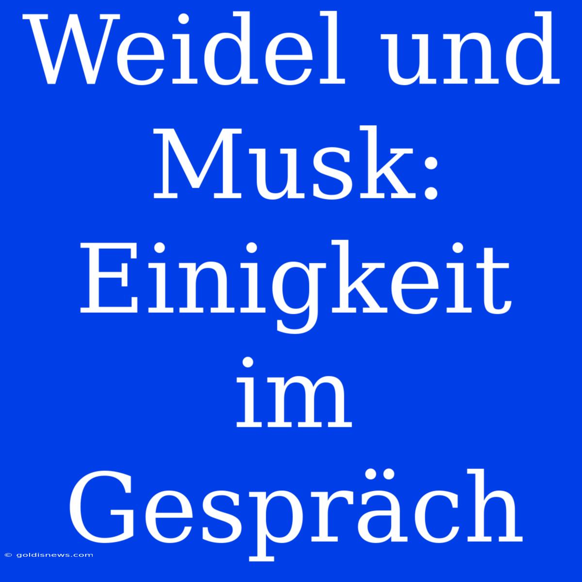 Weidel Und Musk:  Einigkeit Im Gespräch