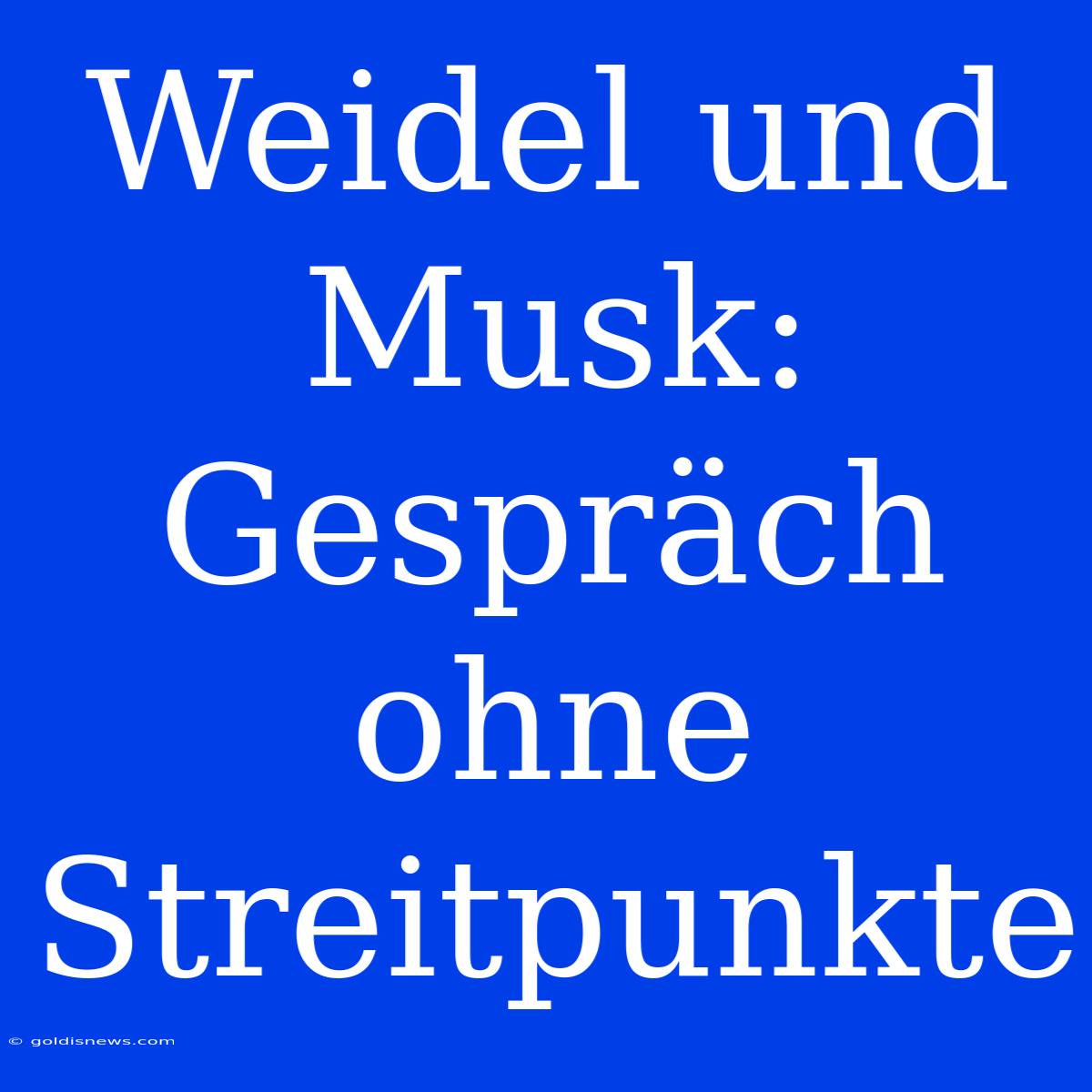 Weidel Und Musk: Gespräch Ohne Streitpunkte