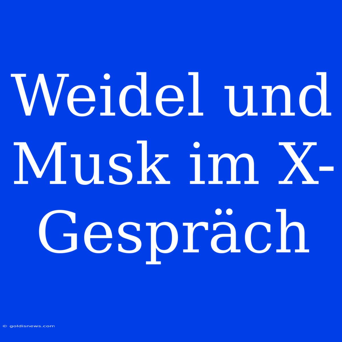 Weidel Und Musk Im X-Gespräch