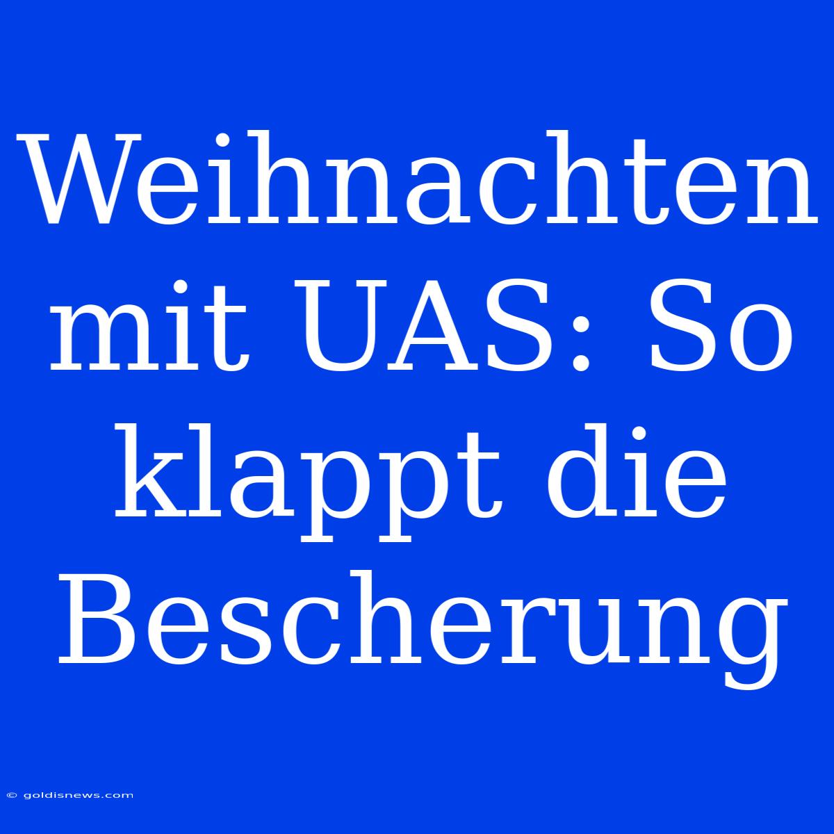 Weihnachten Mit UAS: So Klappt Die Bescherung