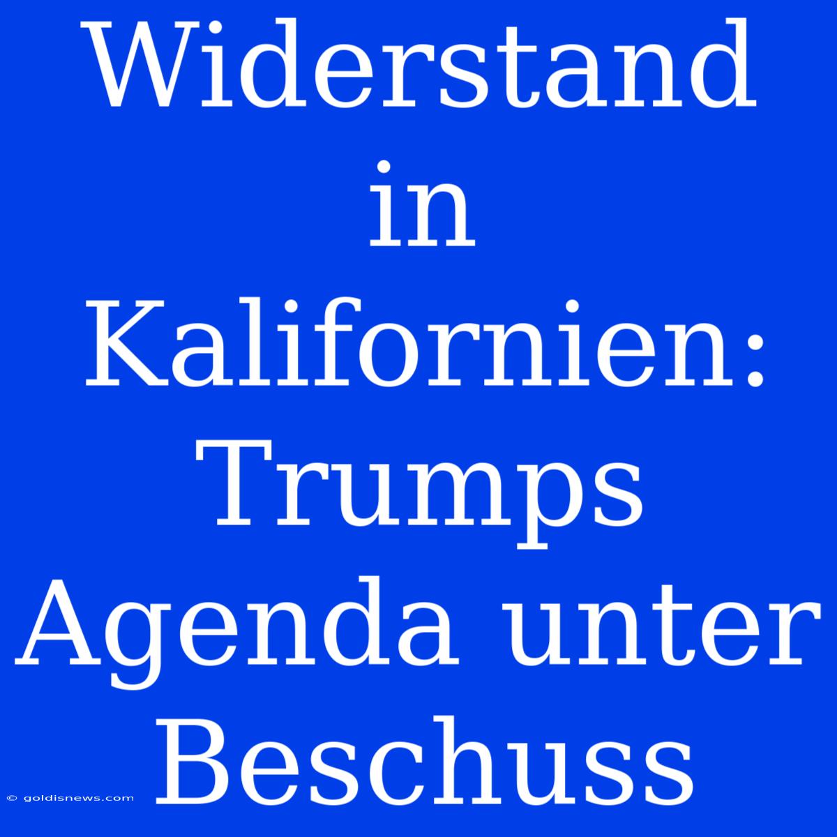 Widerstand In Kalifornien: Trumps Agenda Unter Beschuss