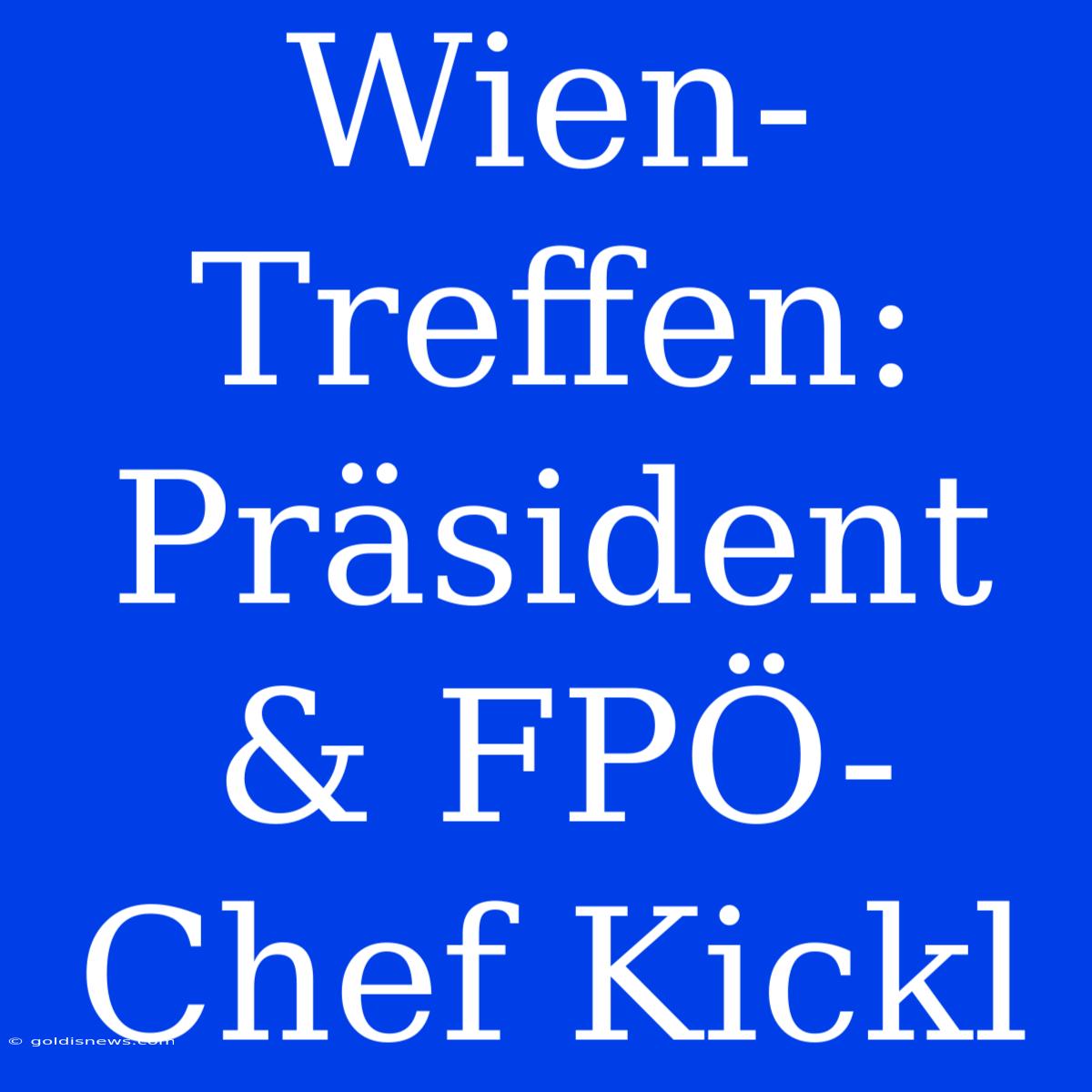 Wien-Treffen: Präsident & FPÖ-Chef Kickl