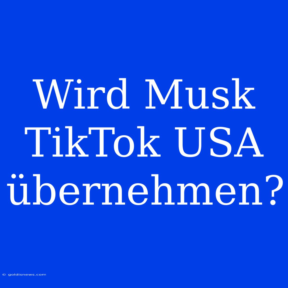 Wird Musk TikTok USA Übernehmen?