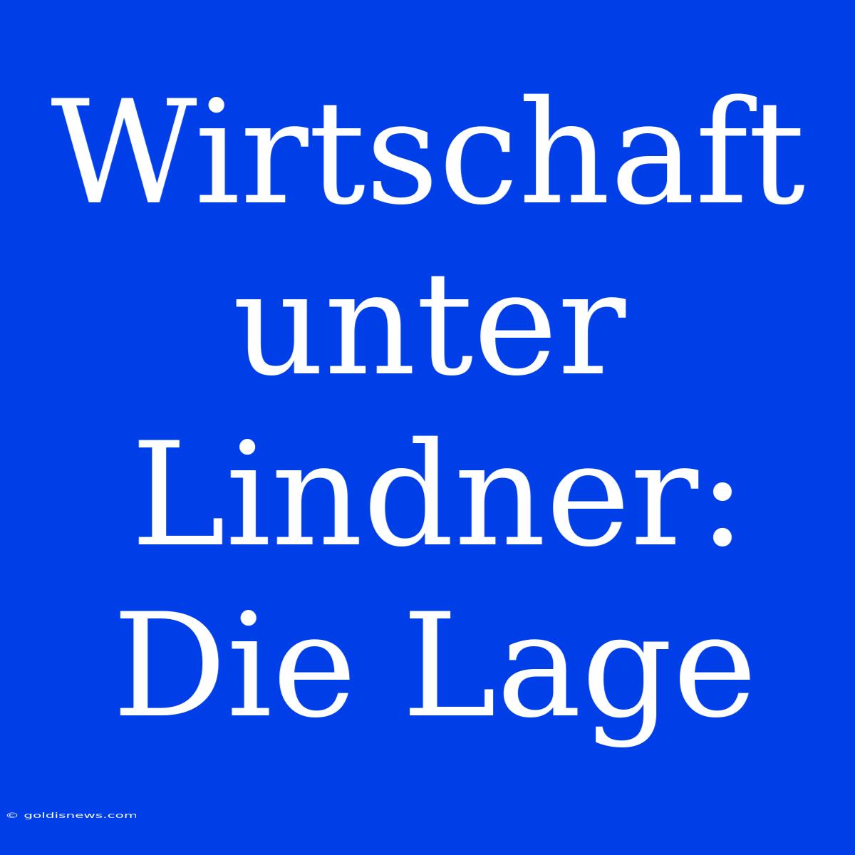 Wirtschaft Unter Lindner: Die Lage