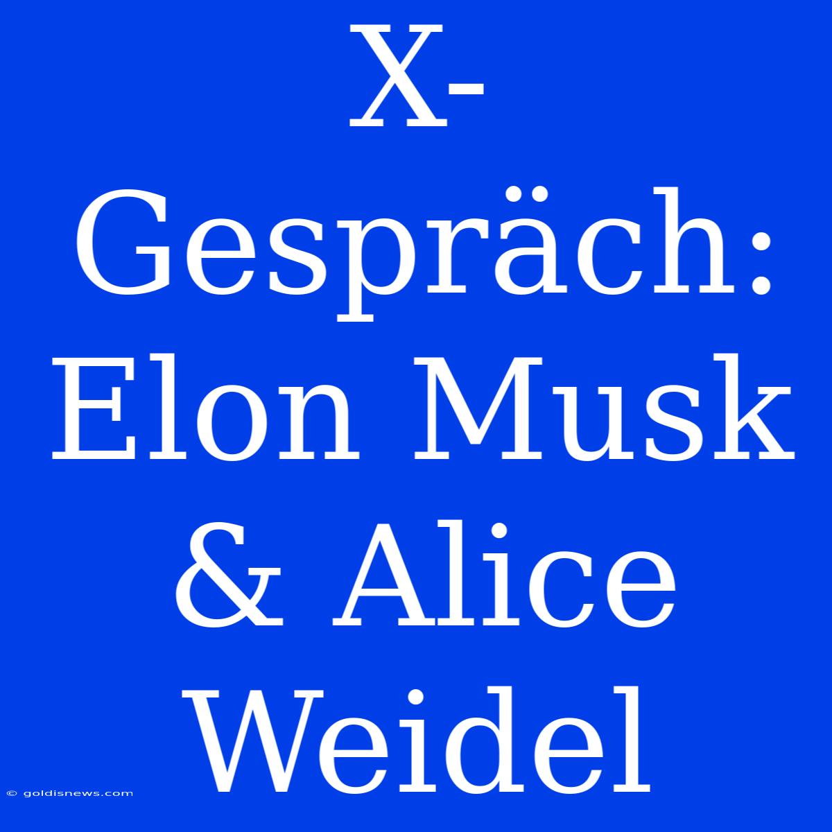 X-Gespräch: Elon Musk & Alice Weidel